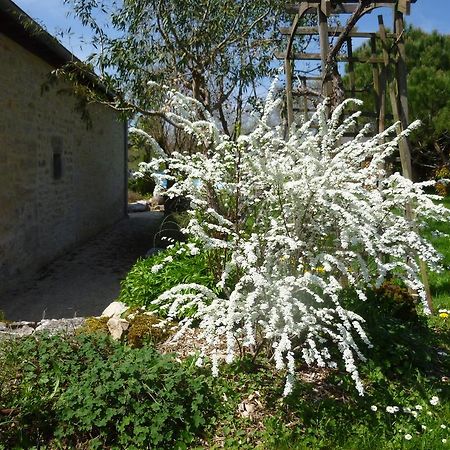 Bed and Breakfast Au Mas De Gamet Théminettes Zewnętrze zdjęcie