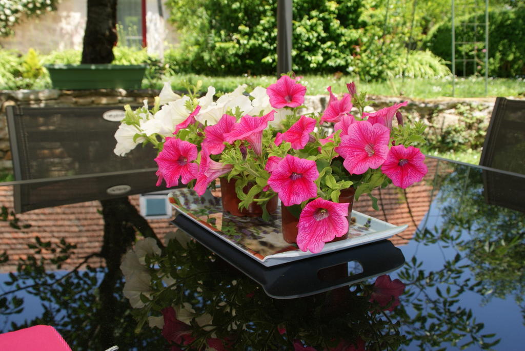 Bed and Breakfast Au Mas De Gamet Théminettes Zewnętrze zdjęcie