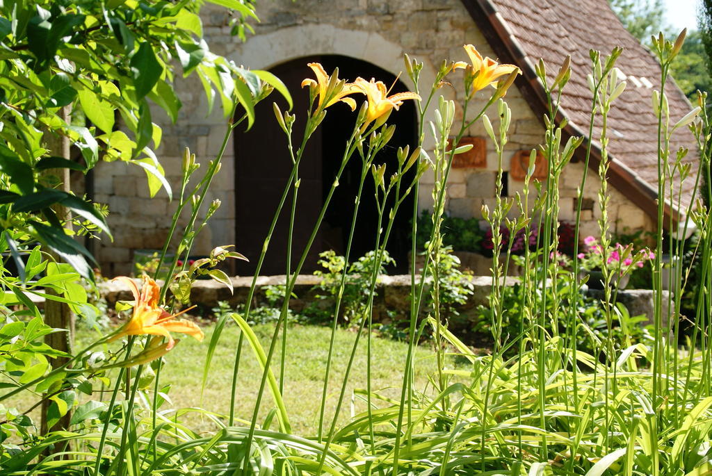 Bed and Breakfast Au Mas De Gamet Théminettes Zewnętrze zdjęcie