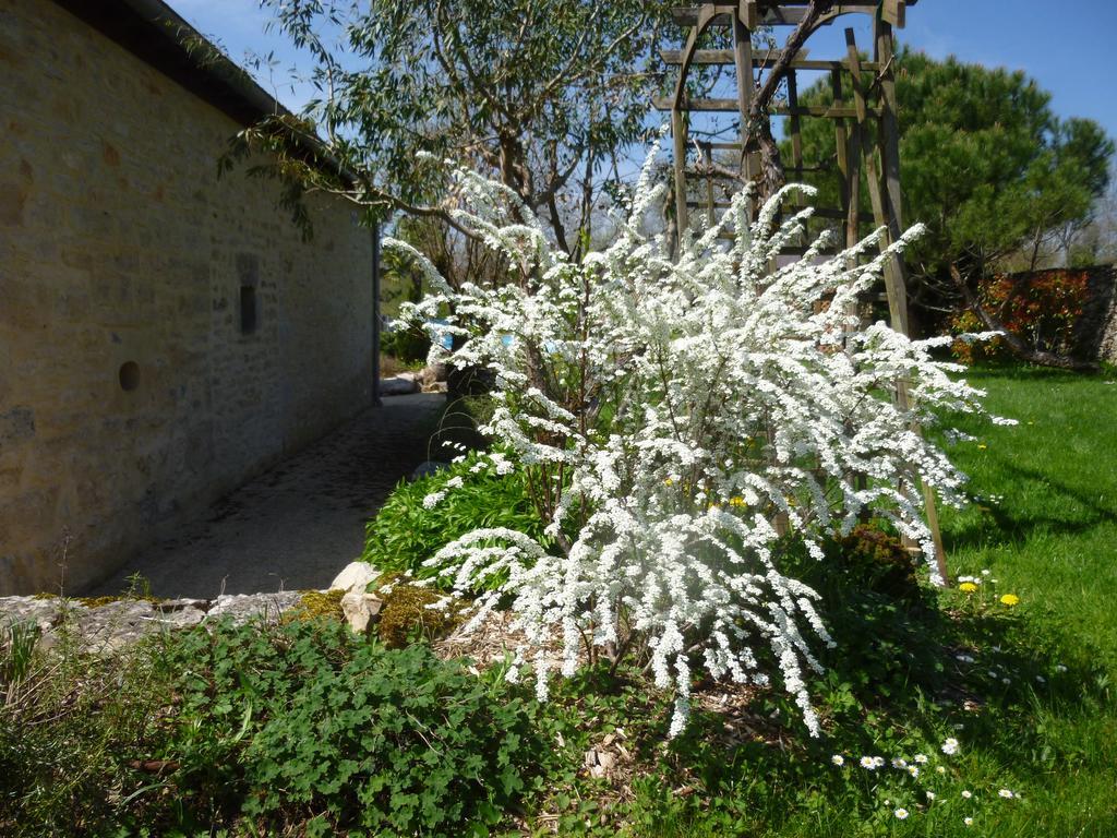 Bed and Breakfast Au Mas De Gamet Théminettes Zewnętrze zdjęcie