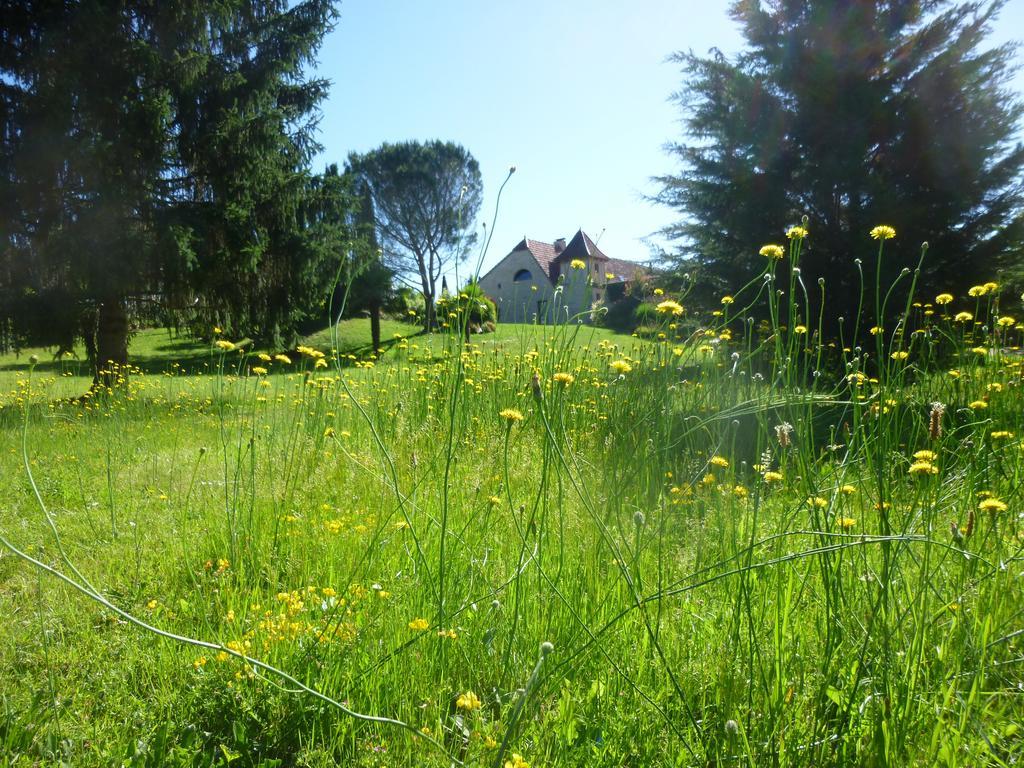 Bed and Breakfast Au Mas De Gamet Théminettes Zewnętrze zdjęcie